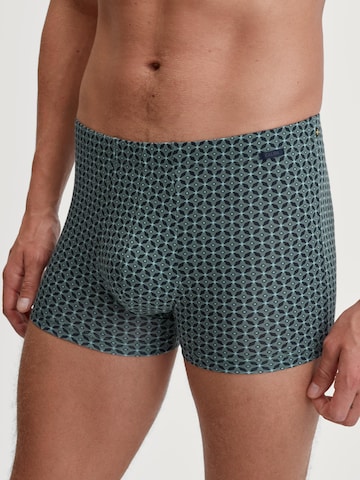 CALIDA Boxer shorts 'Focus Trend' in Green