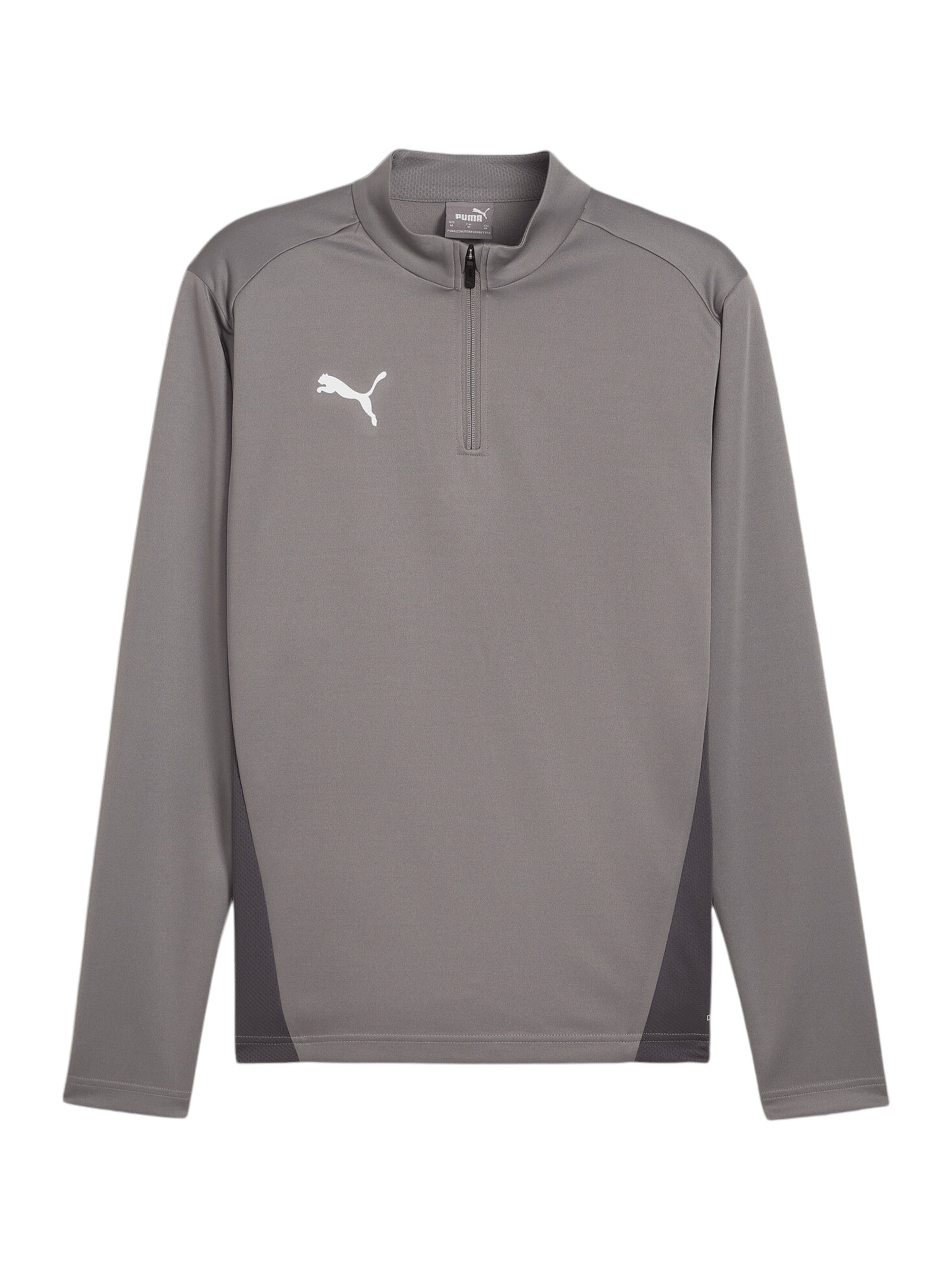 PUMA Funktionsshirt 'TeamGoal' in Grau: Vorderseite