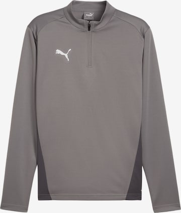 PUMA Funktionsshirt 'TeamGoal' in Grau: Vorderseite