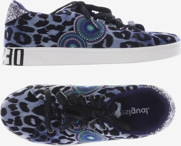 Desigual Sneakers & Trainers in 36 in Blue: front
