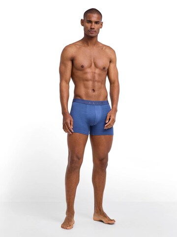 FALKE Boxer shorts '2-Pack' in Mixed colors