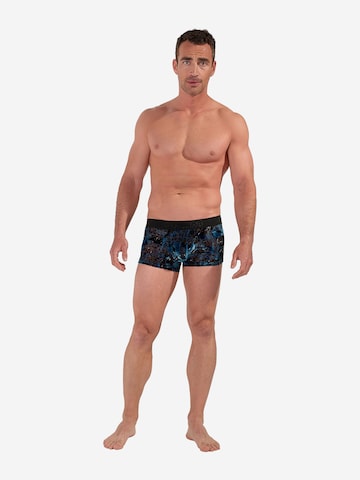 Boxers ' Fremont ' HOM en bleu