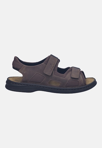 JOSEF SEIBEL Sandal in Brown