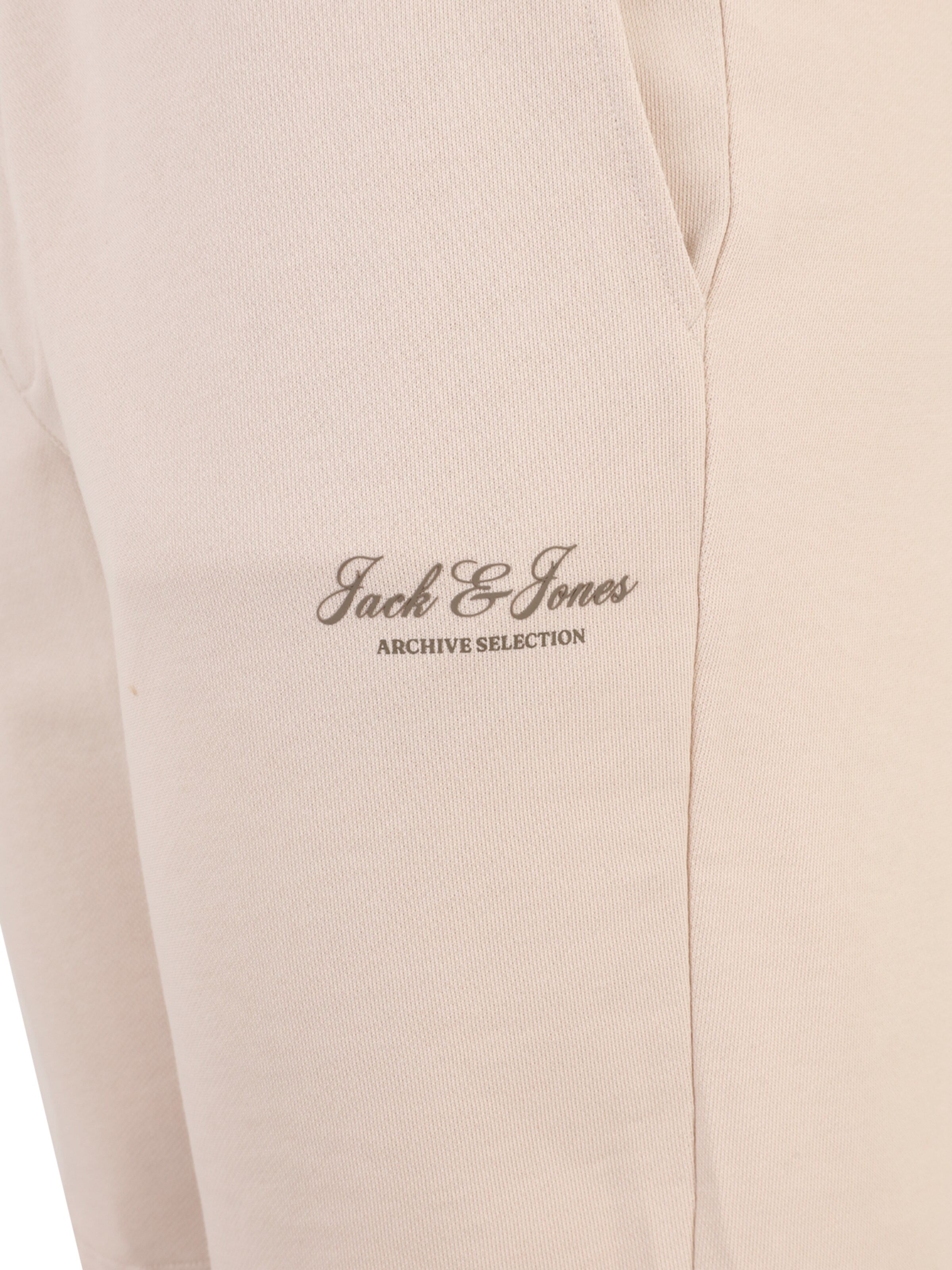 Jack & Jones Plus - regular Pantalón 'JPSTGORDON' en beige