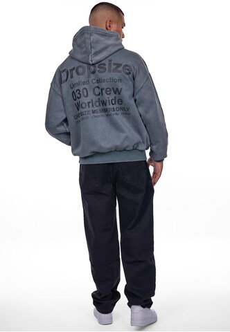 Dropsize Sweatshirt in Grey