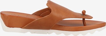 MUSTANG T-Bar Sandals in Brown