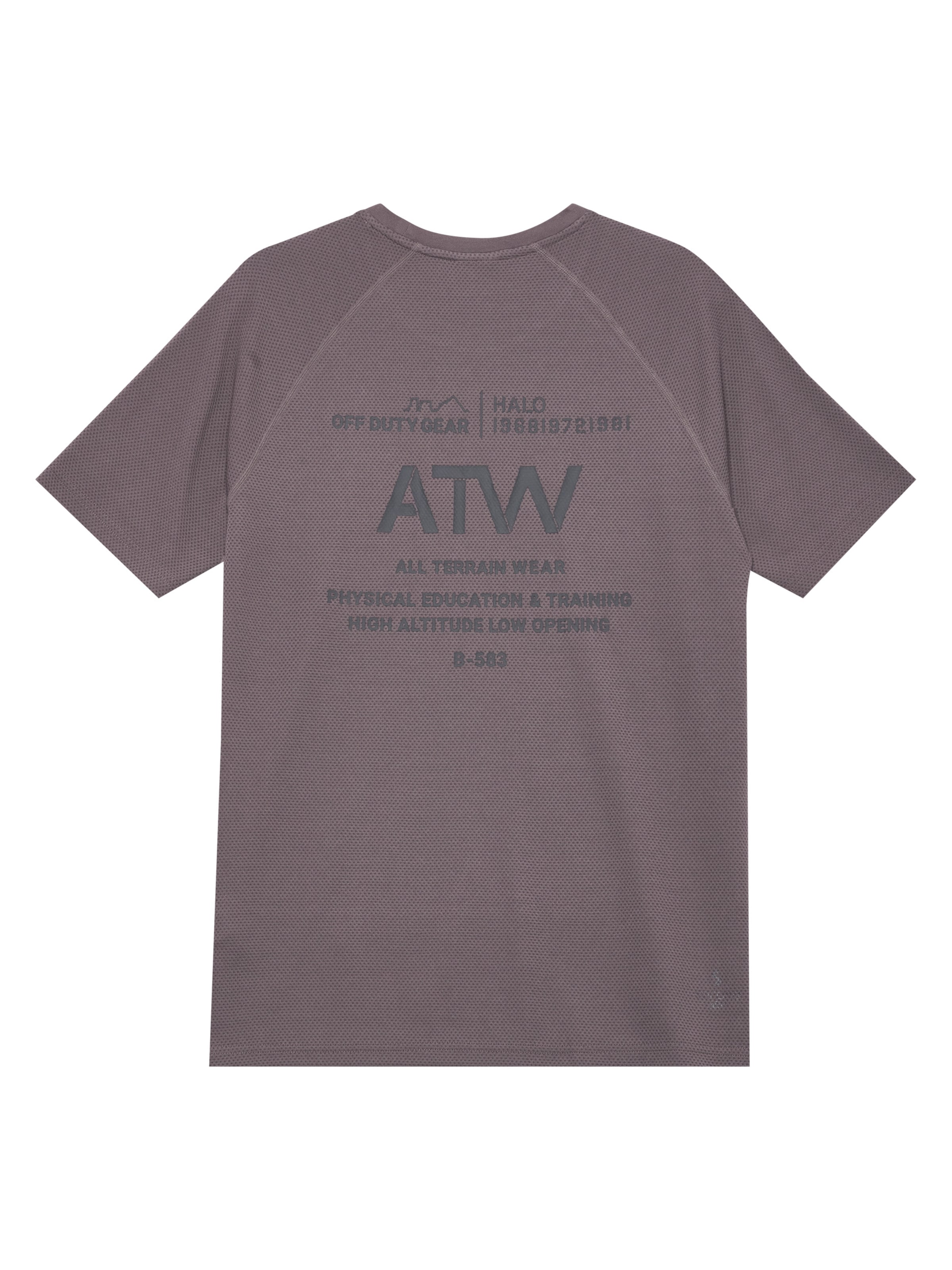HALO T-Shirt in Grau