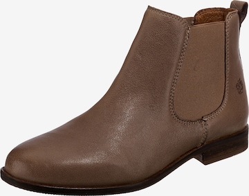 Apple of Eden Chelsea Boots 'Manon' in Braun: predná strana