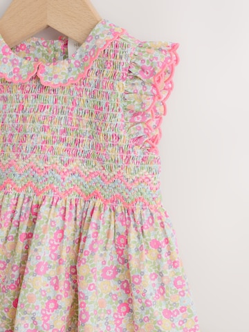 Next Платье в Смешанный