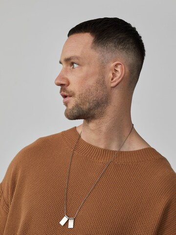 DAN FOX APPAREL Pullover 'Aron' in Braun