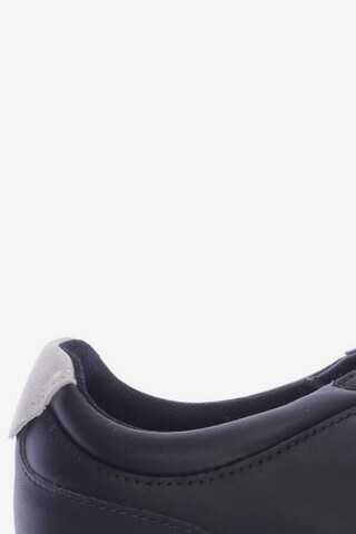 LACOSTE Sneakers & Trainers in 38 in Black