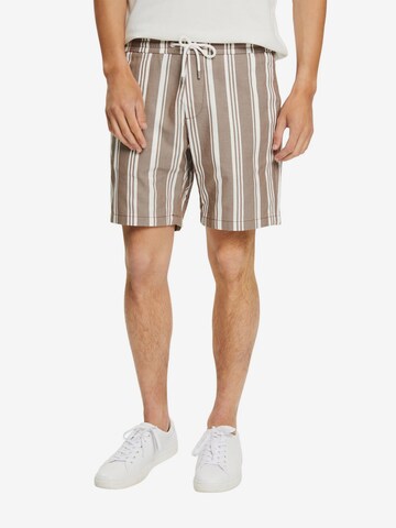 Esprit Collection Pants in Brown: front
