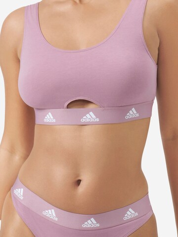 ADIDAS SPORTSWEAR Bustier Bustier ' SCOOP BRALETTE ' in Pink: Vorderseite