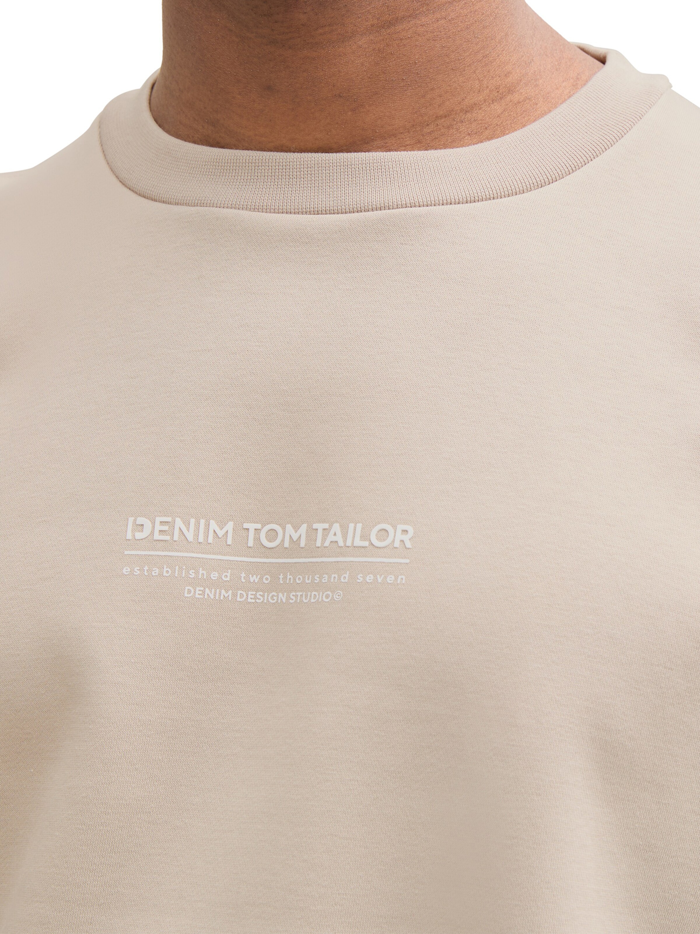 TOM TAILOR DENIM Sweatshirt in Grey