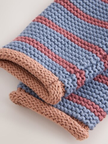Next Strickjacke in Blau