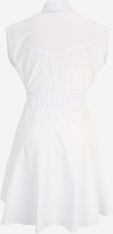 PINKO Платье-рубашка 'Abito' в Белый