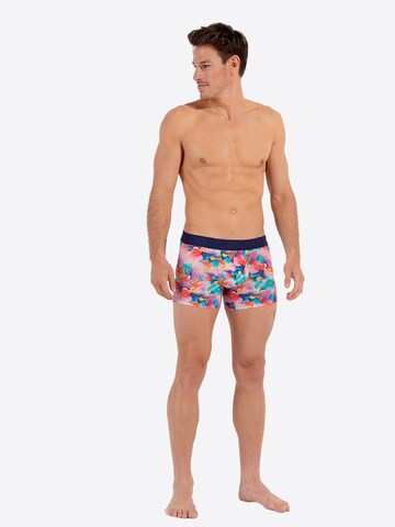 HOM Boxer shorts ' Aquaflowers ' in Mixed colours