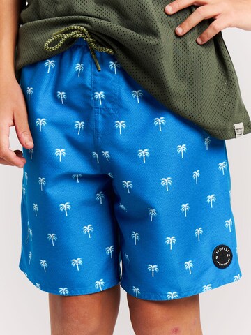 PROTEST Board Shorts 'PRTCalvin JR' in Blue