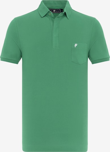 Tricou ' ALARIC ' DENIM CULTURE pe verde / alb, Vizualizare produs