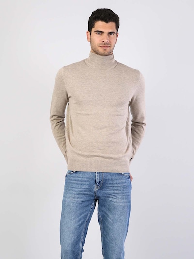 Colin's Sweater in Beige, Item view