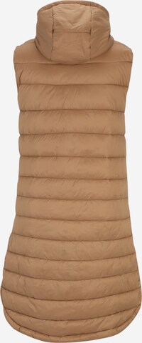 Only Tall Vest 'MELODY' in Brown