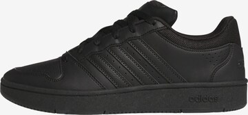 ADIDAS SPORTSWEAR Sneakers laag 'Hoops Classic' in Zwart: voorkant