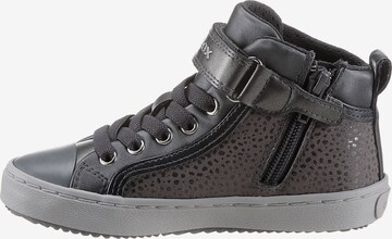 GEOX Sneaker 'Kalispera' in Grau: predná strana