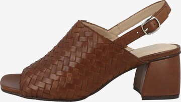 GERRY WEBER SHOES Sandale 'Sabrina 05' in Braun