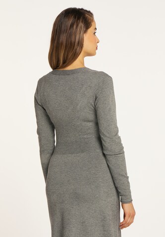 faina Knitted dress in Grey