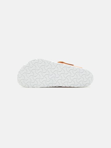 oranžinė BIRKENSTOCK Šlepetės per pirštą 'Gizeh'