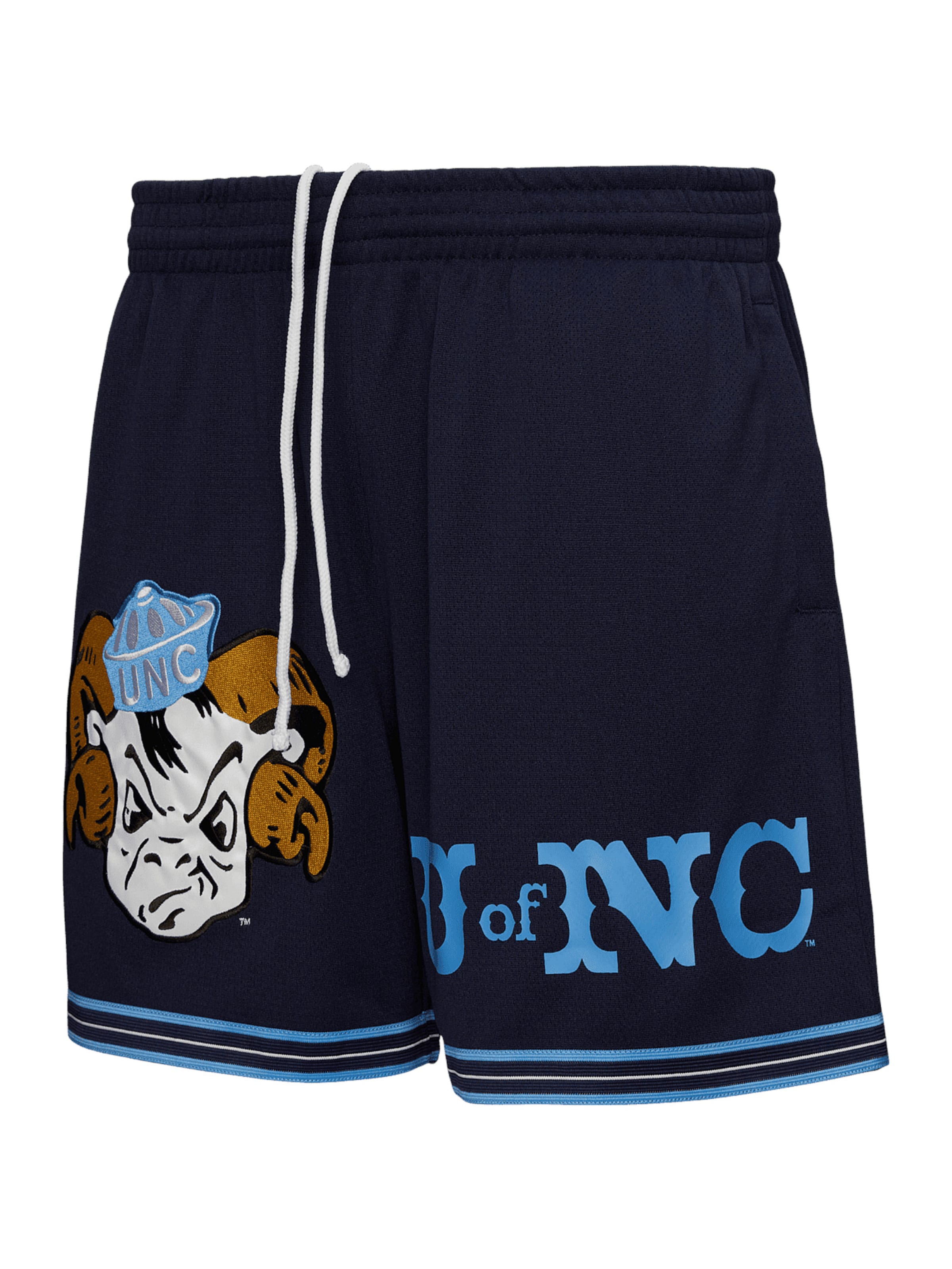 Regular Pantalon Mitchell & Ness en bleu : devant