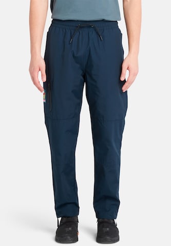 Regular Pantalon cargo TIMBERLAND en bleu : devant