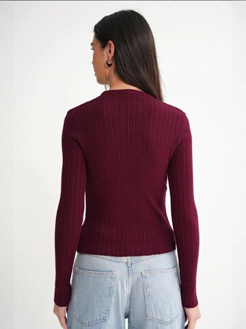 Pull-over MixRay en rouge