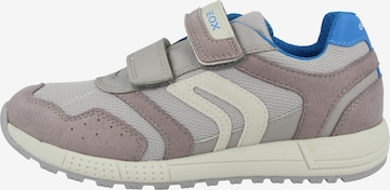 GEOX Sneaker in Beige: predná strana