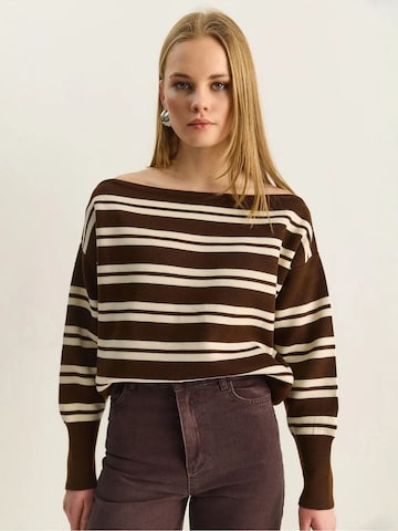 Pullover di Bianco Lucci in marrone: frontale