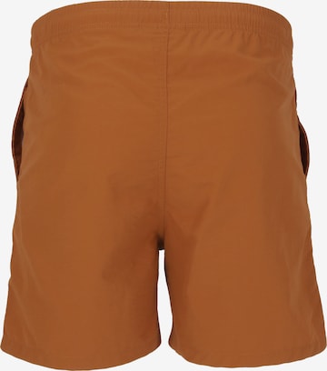 Cruz Badehose in Braun