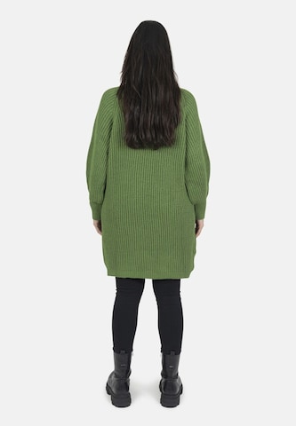 Elara Knit dress in Green