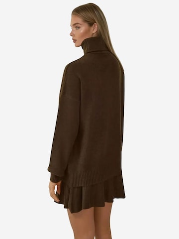 Bigdart Suit in Brown