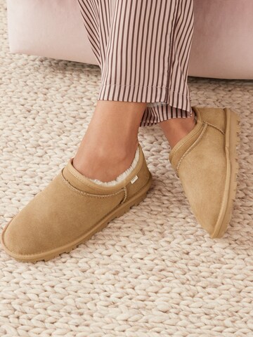 Next Toasuss, värv pruun