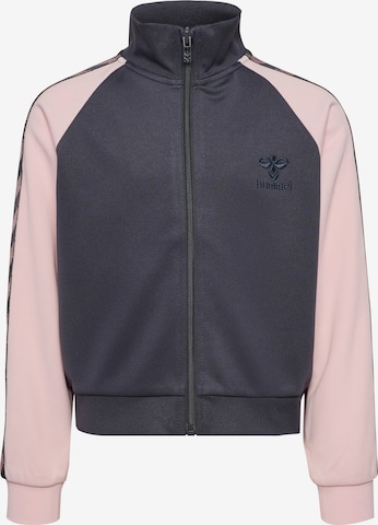 Hummel Zip-Up Hoodie in Grey: front
