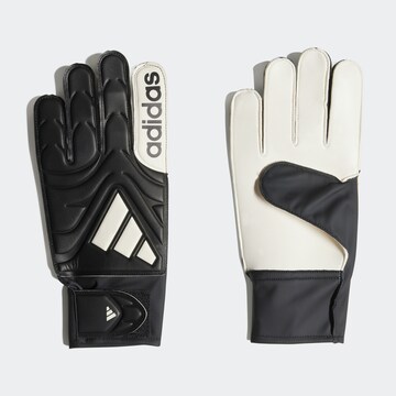 ADIDAS PERFORMANCE Athletic Gloves in Black: front