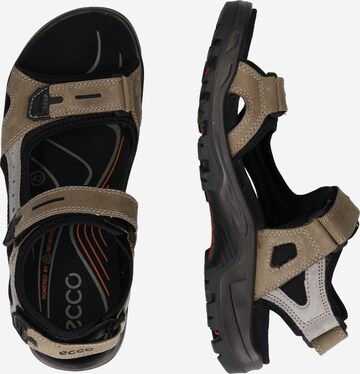 ECCO Sandalen 'ECCO OFFROAD' in Beige