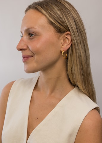 PURELEI Earrings 'Flow' in Gold: front