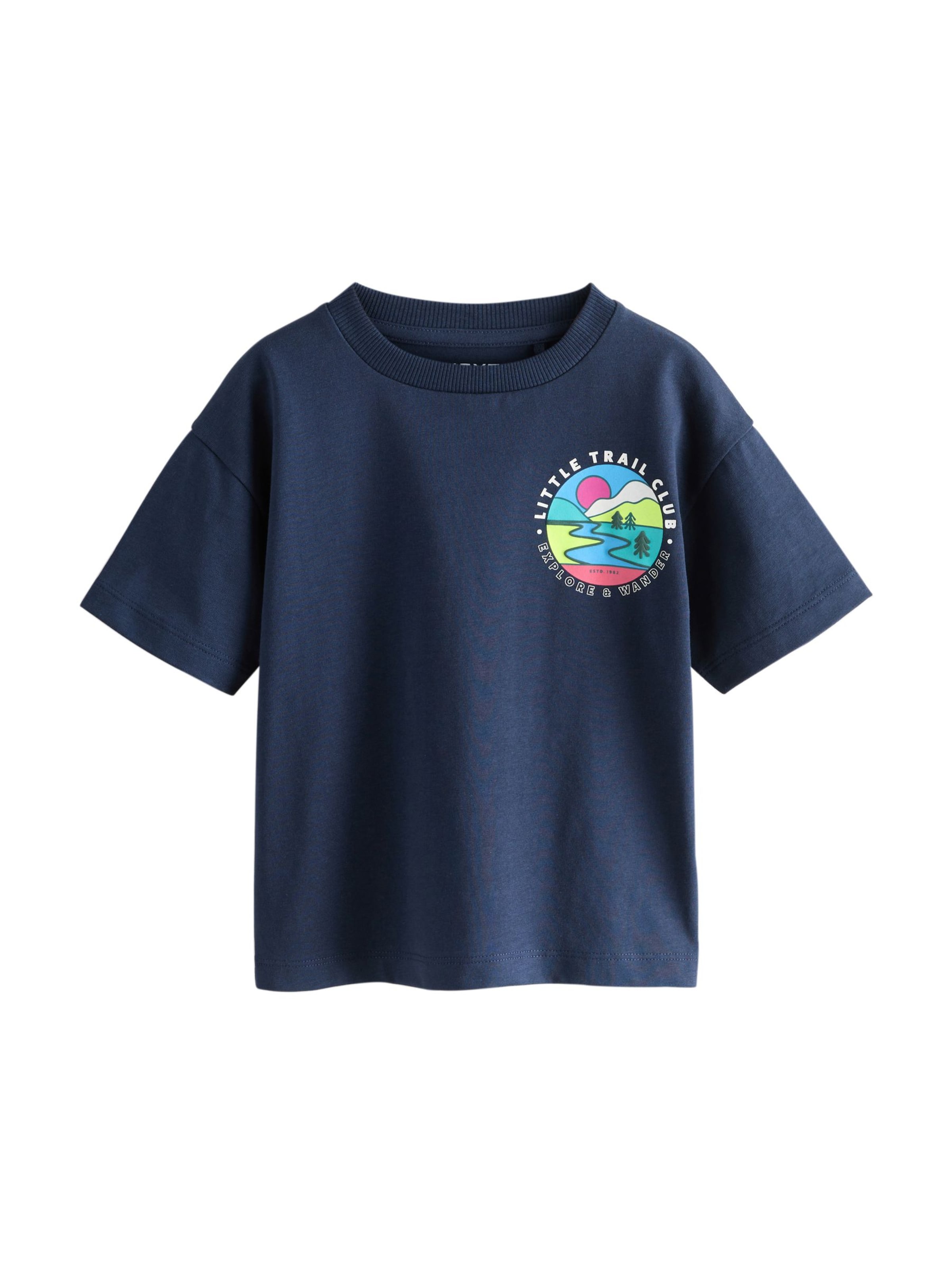 Maglietta di Next in blu: frontale