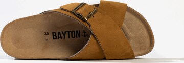 Mule 'Ajax' Bayton en marron