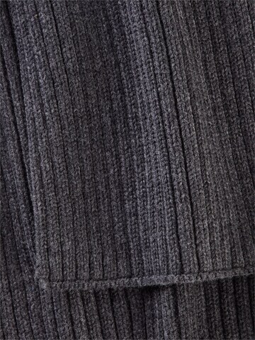 CAMEL ACTIVE Scarf in Grey