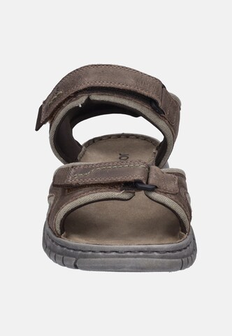 JOSEF SEIBEL Sandal 'Brendan 03' in Brown