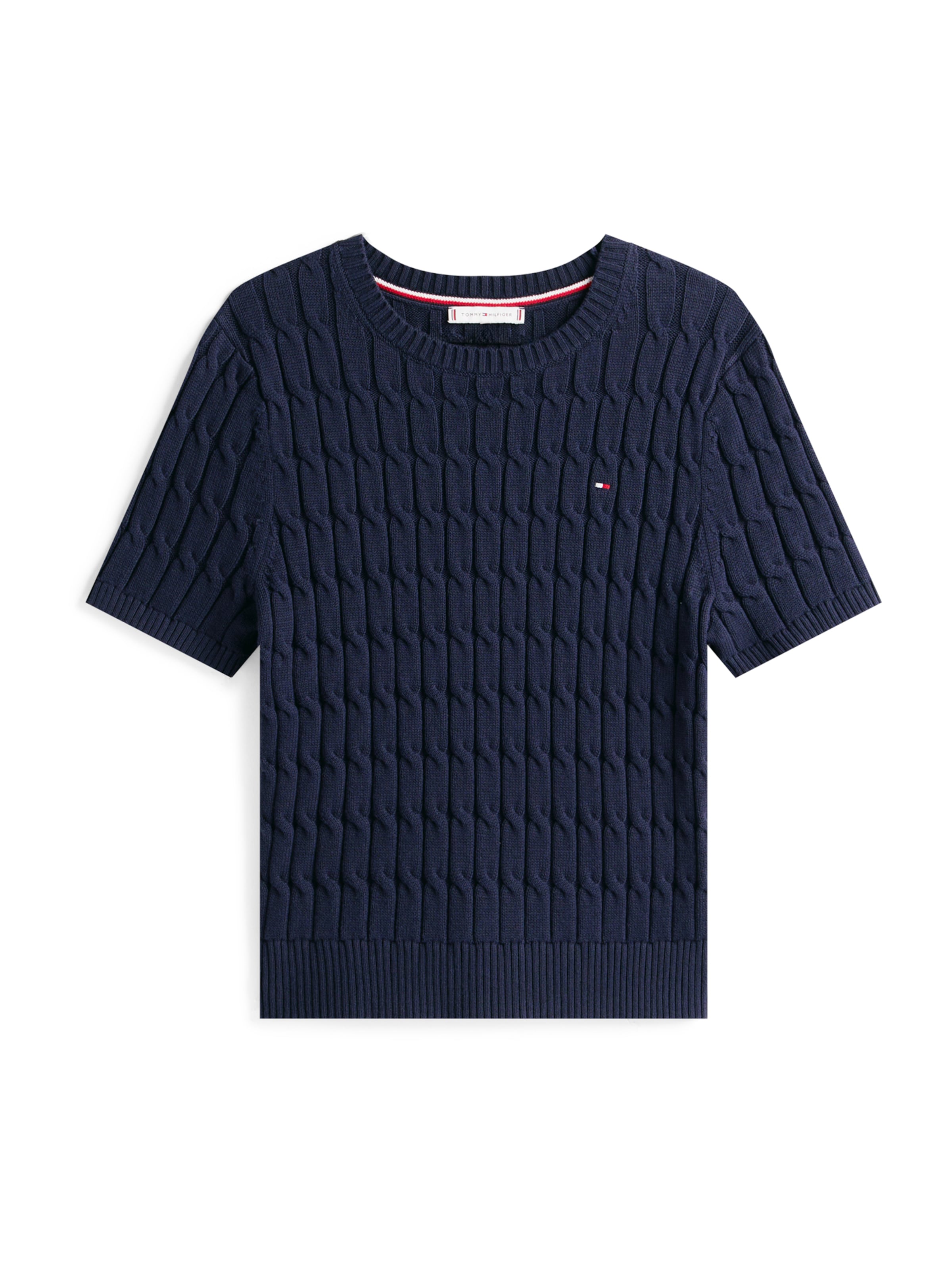 TOMMY HILFIGER Sweater in Blue: front