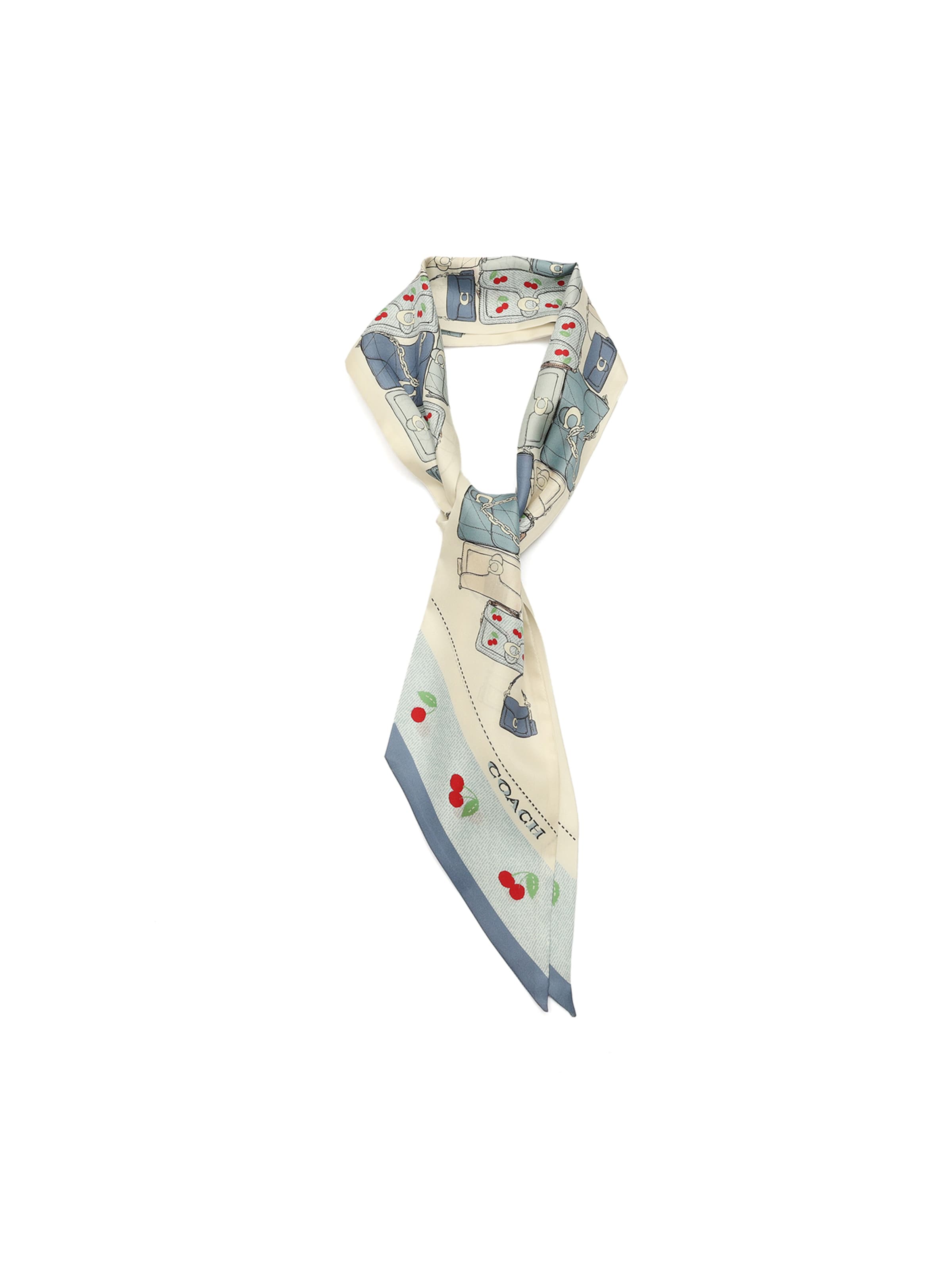 COACH Shawl in Blue