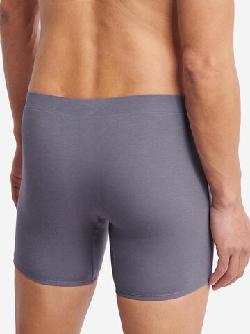 SLOGGI Boxershorts 'men GO Natural'‌‌ in Blau